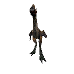 Plainstrider In 3D