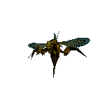 Zora In 3D