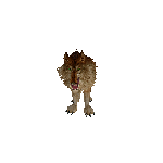 Lady In 3D