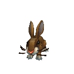 Hare In 3D