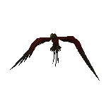 Roc In 3D