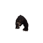 Black Bear In 3D